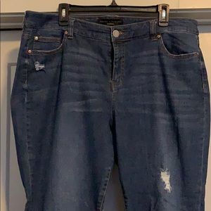 Truth and Theory Jeans